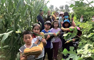劳动教育课程的常态化、专业化还有多远