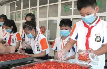 实践性是劳动教育课程的第一性