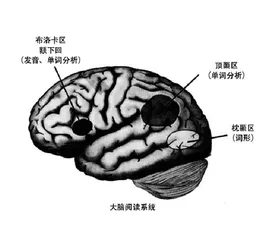 科学构建学困生发展支持系统
