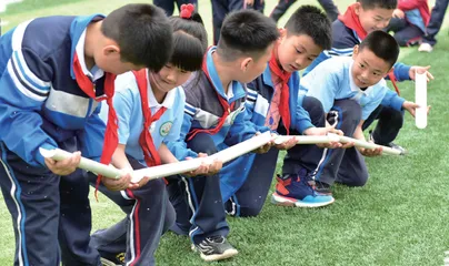 医教共同体：专业引领，守护师生心理健康  