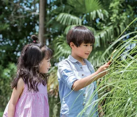 聚焦幼儿发展，师幼携手成长