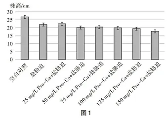 基于深度学习的高中生物学STEM项目学习探究