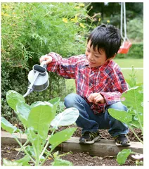 在生活的广阔原野中学习