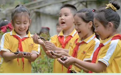 生活阅读：开启一所乡村学校的进化史