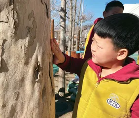 打开五感，体味自然之趣