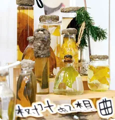 自然教育要和孩子站在同一边