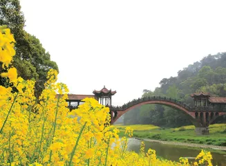 幸而有家乡