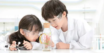 儿童青少年的执行功能发展与脑发育