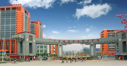 对接产业需求，培养国际化的职业人才