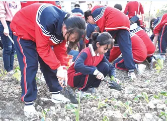 农耕课程，让农耕文明在孩子心间发芽