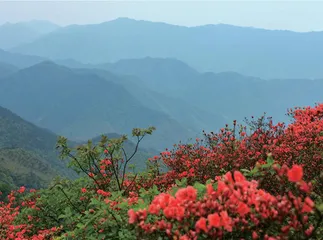 从朱永新“新教育”看到的