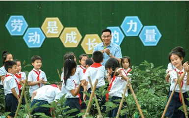 五维一体，推进劳动教育走实走深