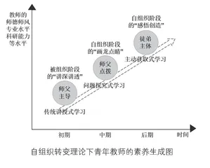 “青蓝工程”：自组织转变理论下的青年教师专业成长