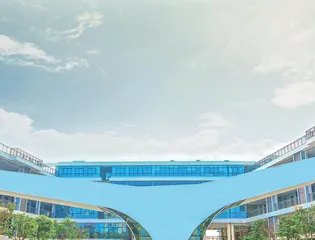 生态化育人：让教育成就无限可能