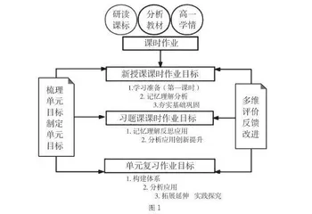 以单元作业设计促进学生思维品质提升