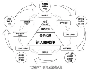 以“三新”校本创新，助推“双新”课改落地