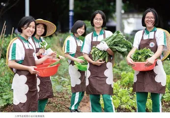 学科教研基地：当好“学科提质”的排头兵