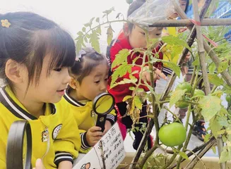 清远连州市:掀起一场破与立的“游戏革命”