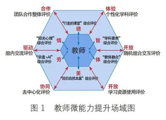 “双闭环协同评价”提升教师信息素养的探索 