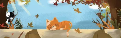教育,塑造诗意生活 