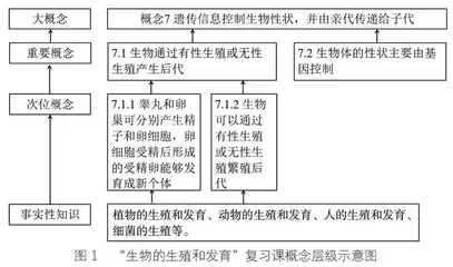聚焦重要概念的初中生物学复习课教学策略