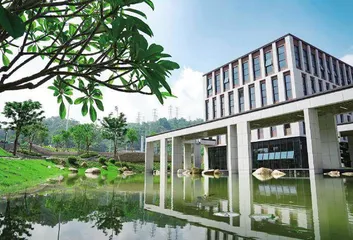 像树一样向下扎根，向上生长  