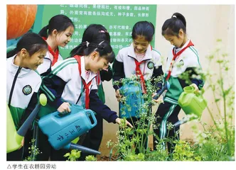 越王小学：“3+N”体系下的以劳养正