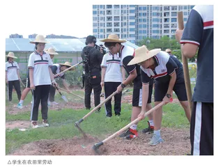 广州： 以评价助推劳动教育提质增效