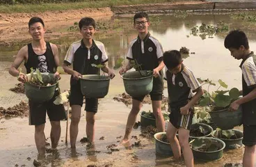 东莞中学松山湖学校：中学生劳动教育评价创新