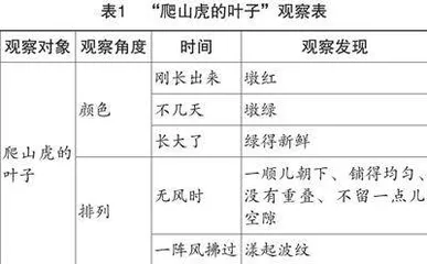 “实用性阅读与交流”学习任务群教学策略探析