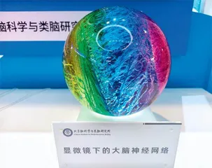 读懂未来产业,看清美妙未来4