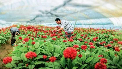 吉林抚松:走生态优先、绿色发展之路1