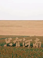 河南:“中部之中”的新看点2