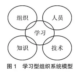 学习型组织：新教师真实培养的自觉探索