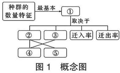 高中生物学教学中单元作业设计策略研究