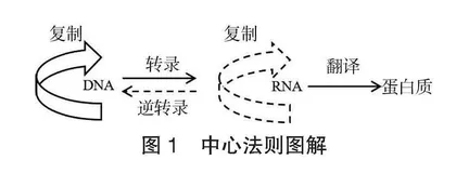 核心素养视域下高中生物学教学策略分析