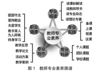 PCK视域下教师专业素养图谱的构建与应用研究0