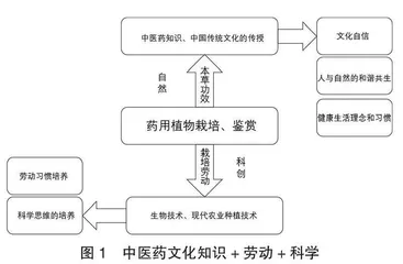 探究让中医药文化进校园的沉浸式教学法