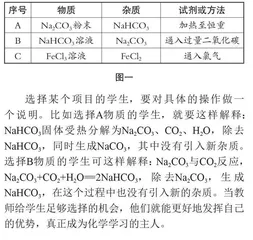 开展项目化学习提升高中学生化学学科素养