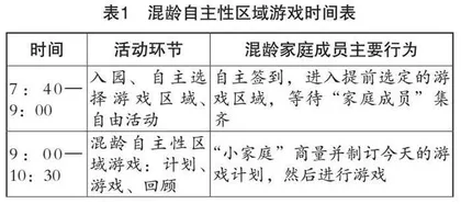 发展适宜性实践视角下幼儿园混龄自主性区域游戏的研究