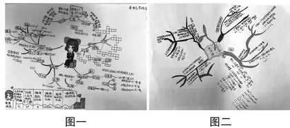 借“图”发挥启思维，化繁为简增实效