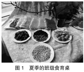 幼儿园健康食育课程的实践探索及应用  