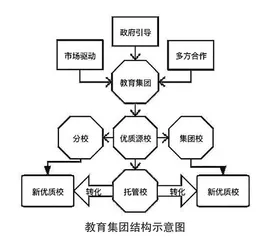 集团化办学：区域优质教育资源的共享模式与发展策略探析