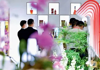 跨国品牌共享中国机遇