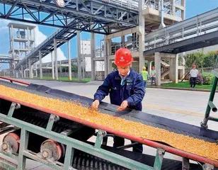 节粮减损,耕好“无形良田”2