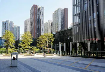 在大湾区享受生活8