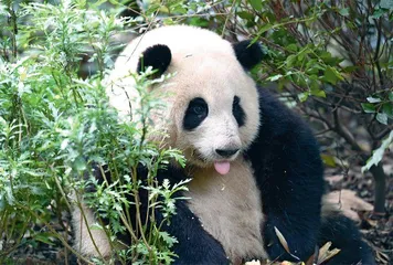 图片新闻