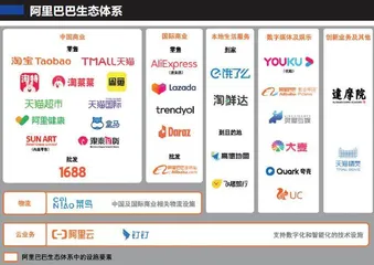 阿里“驱子”:张勇的近渴与远虑2