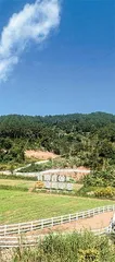 走!到山里喝咖啡2