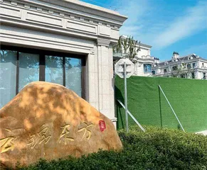 上海豪宅楼盘打新乱象1